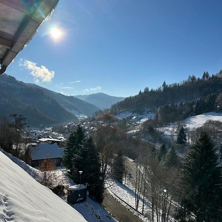 Bollenlodge - Ferienwohnung Mit Ausblick Und Top Lage Todtnau Eksteriør bilde