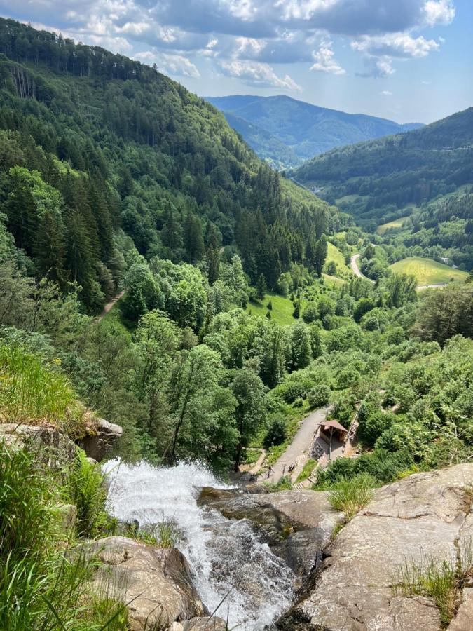 Bollenlodge - Ferienwohnung Mit Ausblick Und Top Lage Todtnau Eksteriør bilde