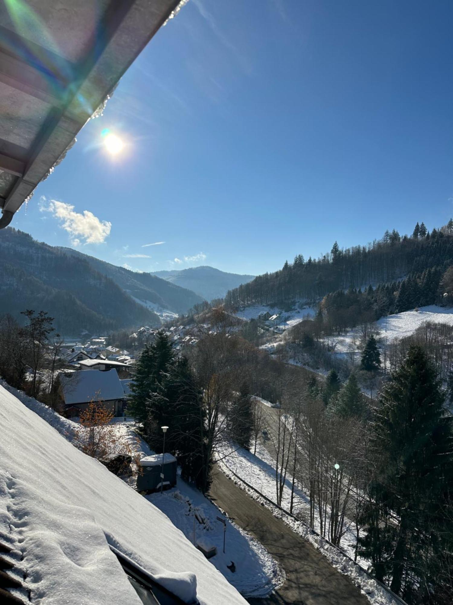 Bollenlodge - Ferienwohnung Mit Ausblick Und Top Lage Todtnau Eksteriør bilde